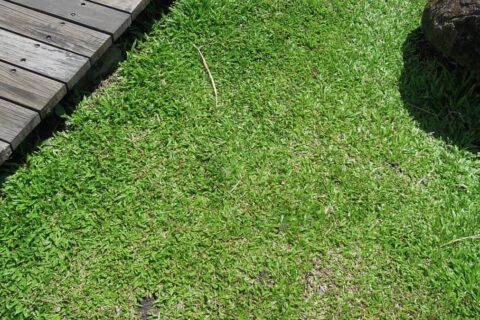 Landscaping Contractors Battle