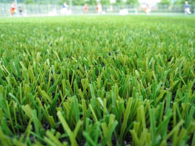 Artificial grass near me Ashford