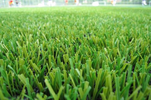 Artificial Grass near me Ashford TN23