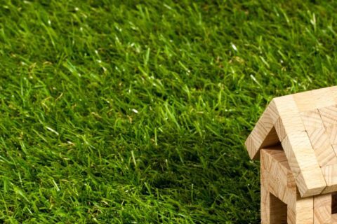 Artificial Grass Ashford