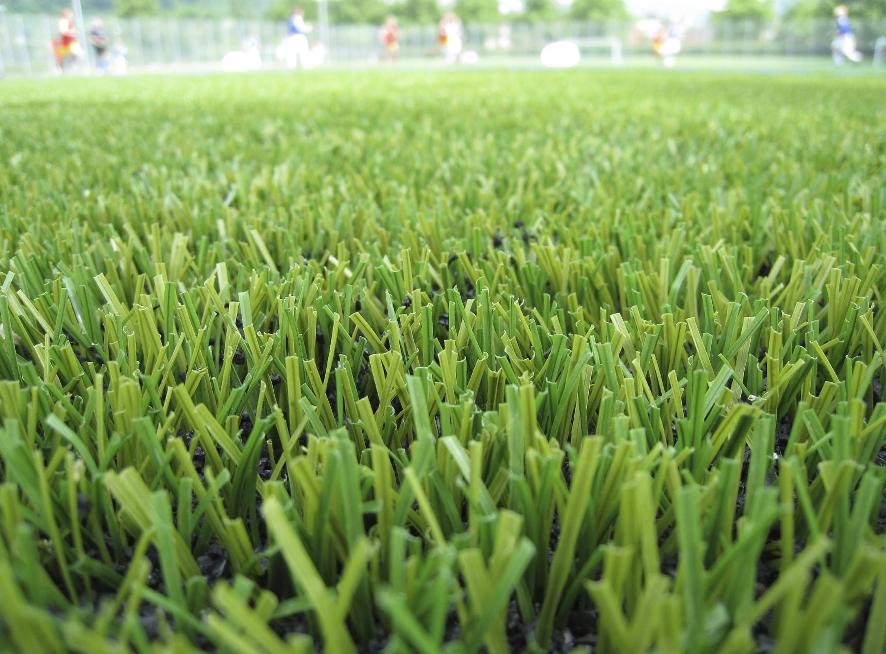 Local artificial grass services Hastings