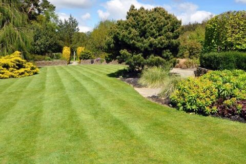 Landscaping Contractors Hastings
