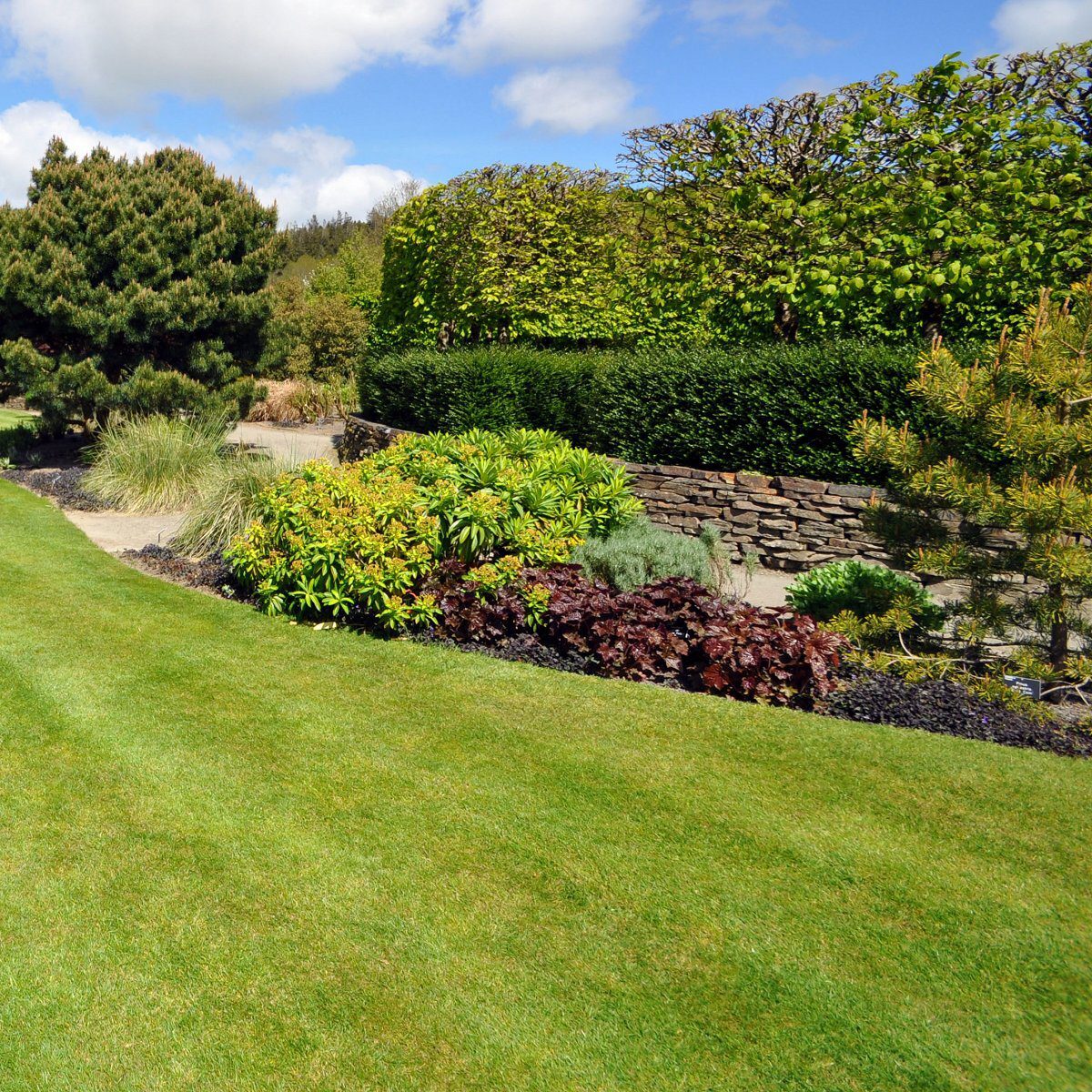 Natural turf Hastings